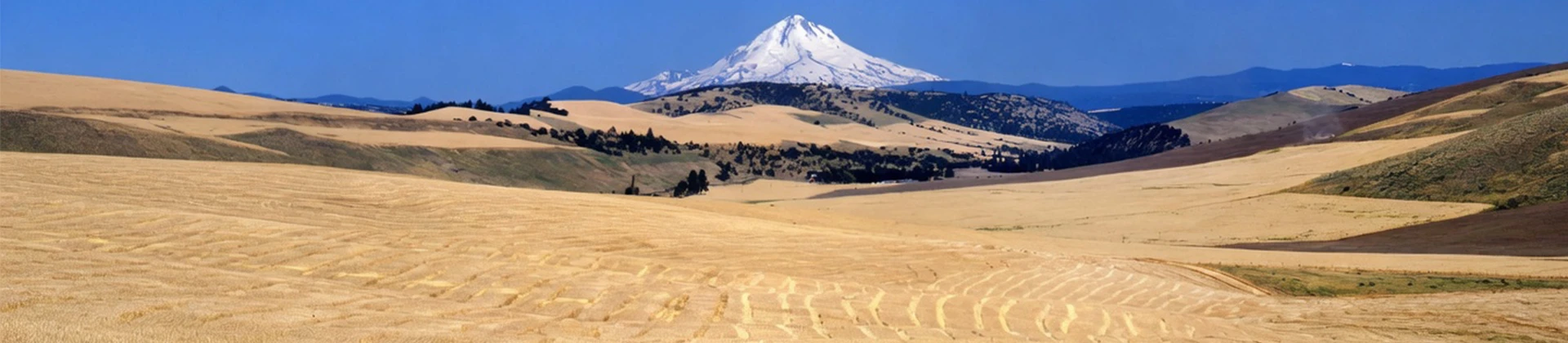 The Initium Principia Gnosis for [Portal:Keywords] Educators and Funders